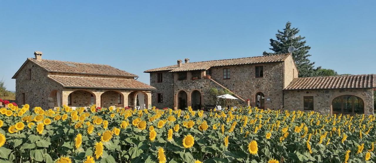Casetta Della Pina Monticiano Bagian luar foto